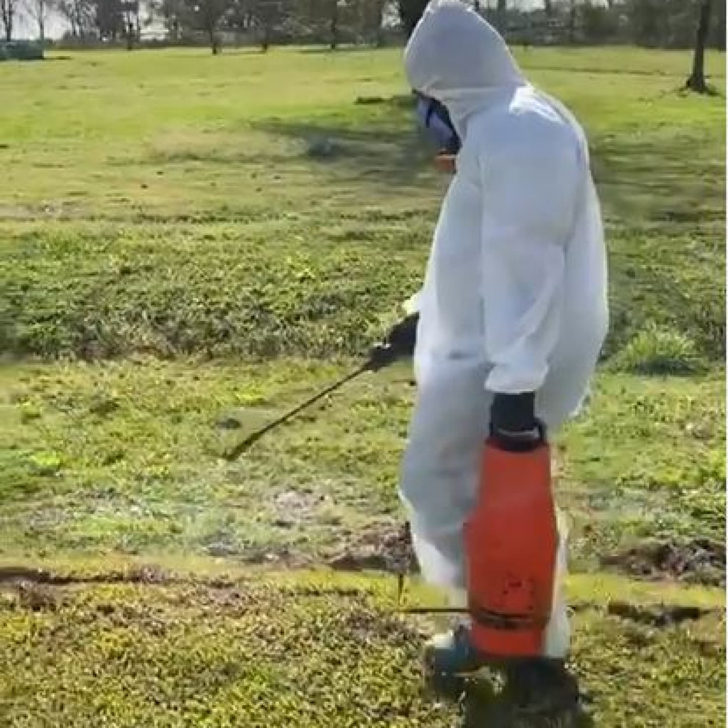 Fumigación empresas 4