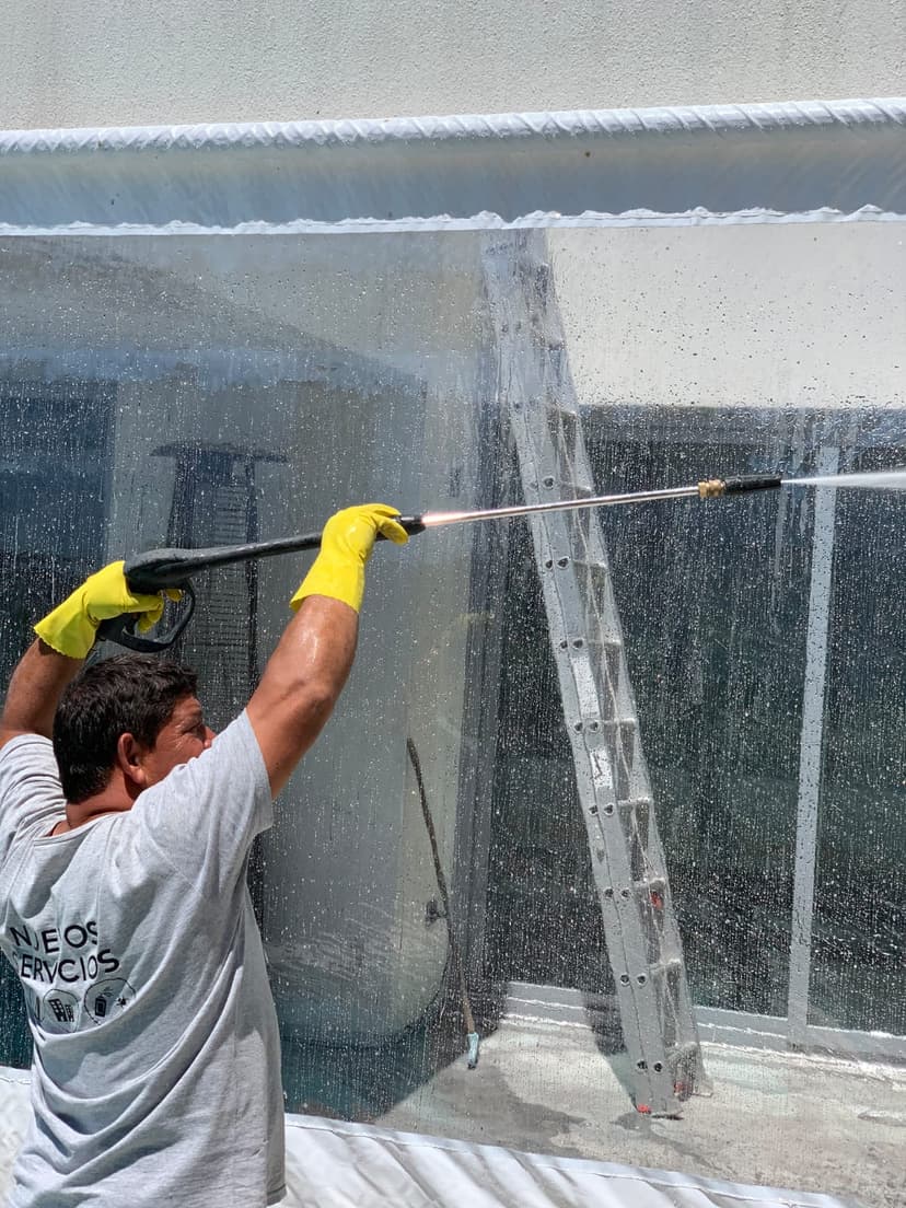 Limpieza profesional